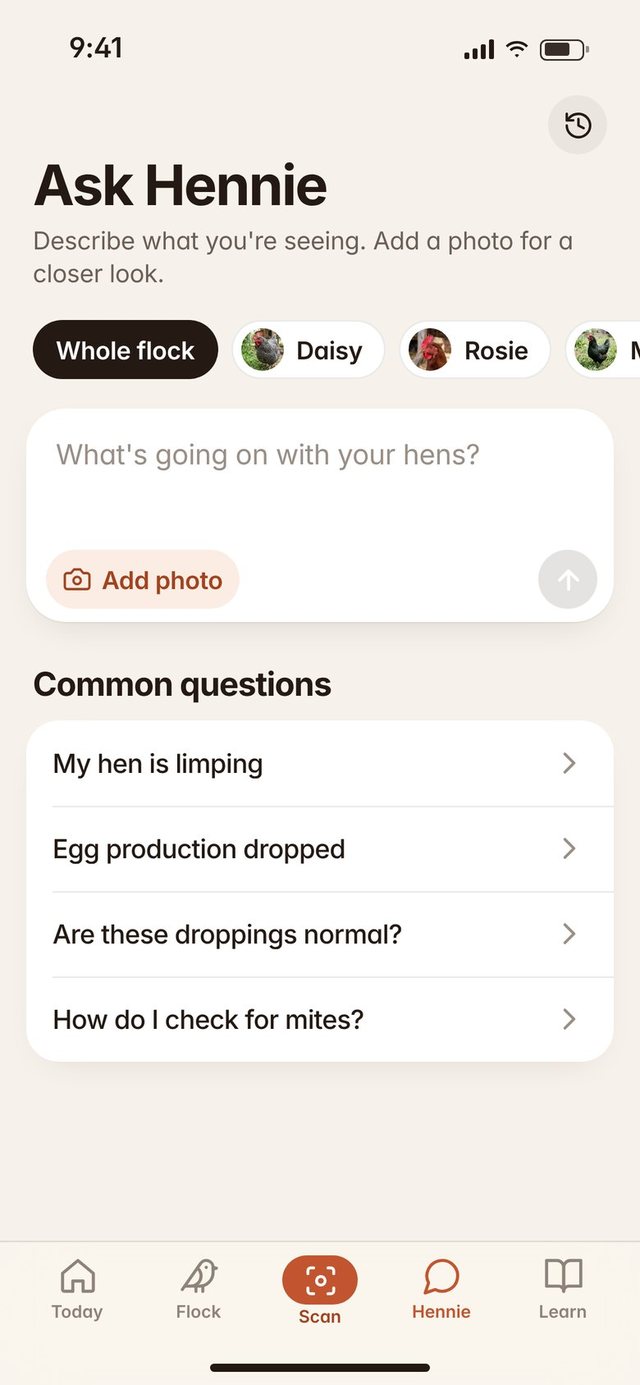 Ask Hennie screen