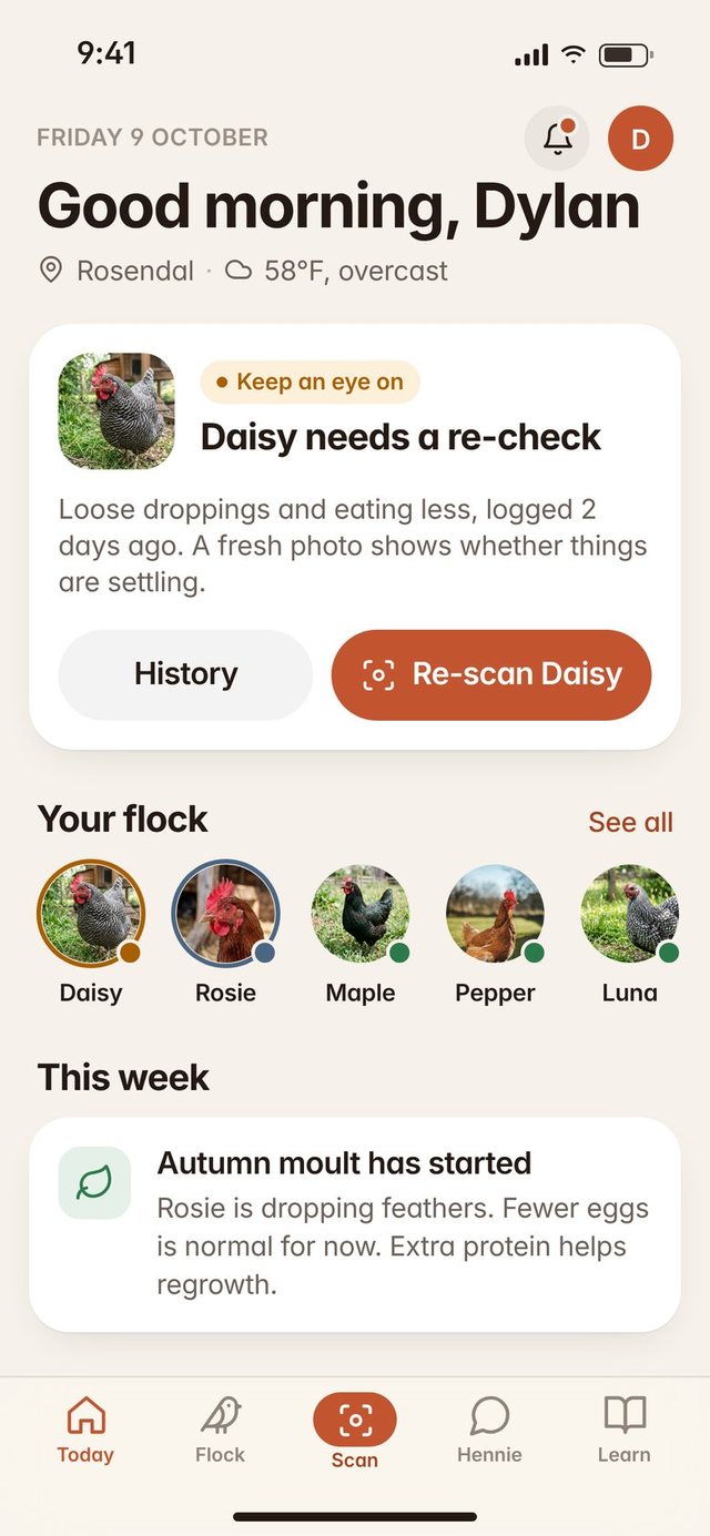 Today screen showing Daisy needs a re-check