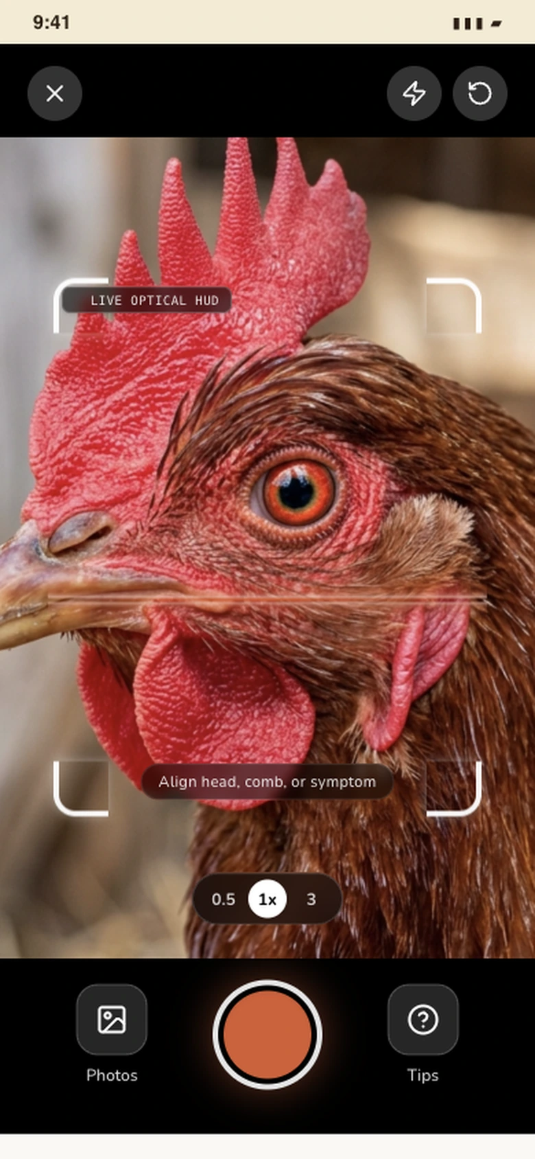 The Flockline scan screen, pointed at a hen