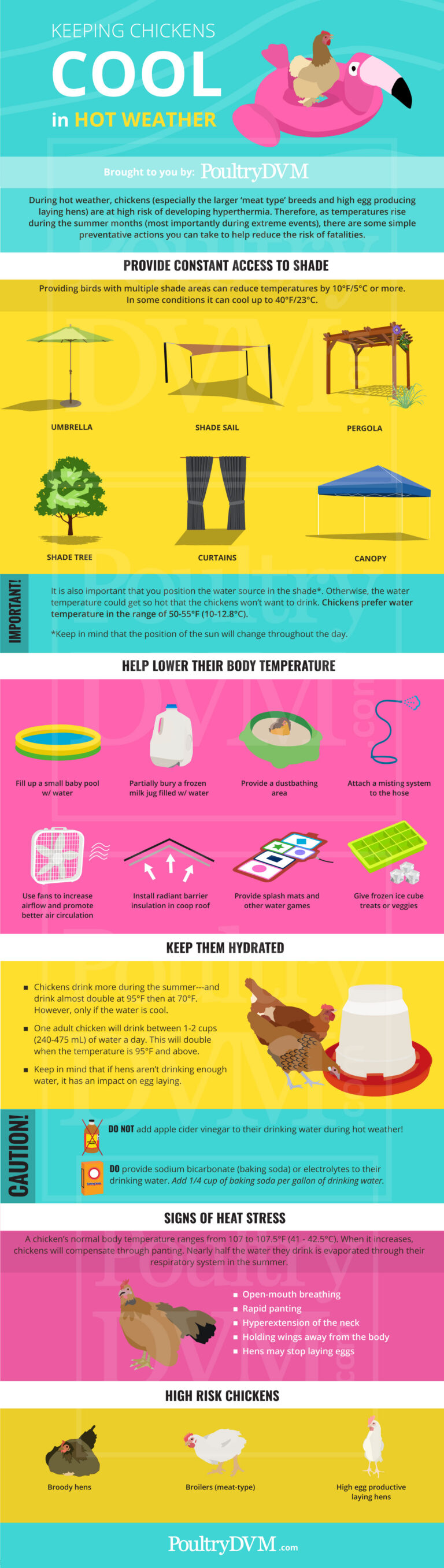 Chicken Heat Stroke Symptoms: Rapid Panting, Cool Water Foot Baths, and Summer Triage