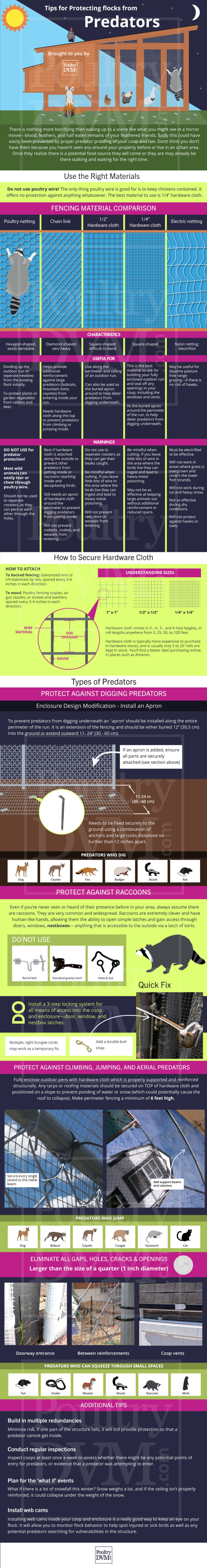 How to Protect Chickens from Hawks: Overhead Netting, Sightline Barriers, and Cover Plants