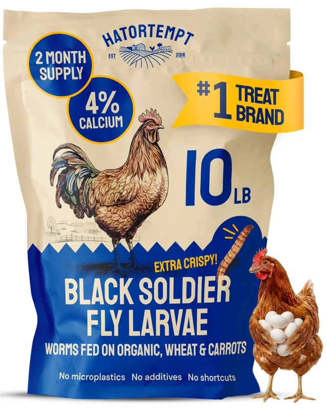 Hatortempt Bulk Dried Mealworms for Chickens