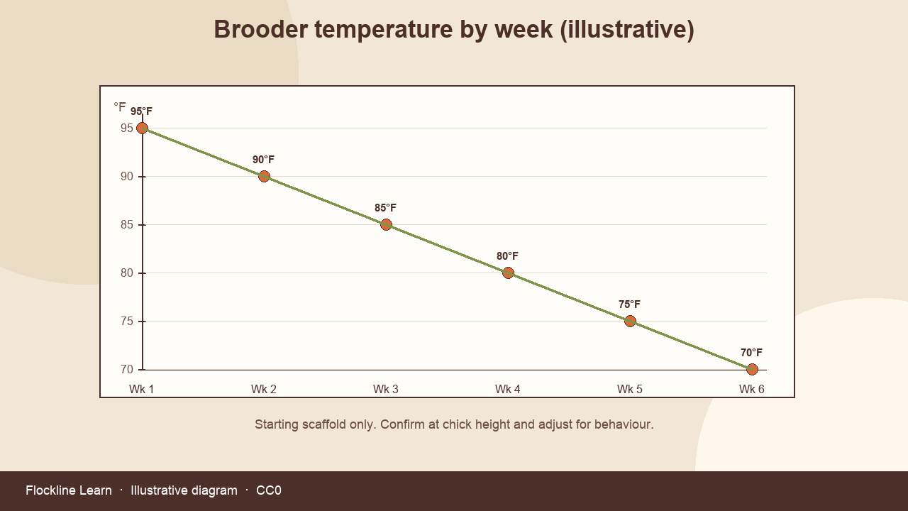 Illustrative chart of brooder temperature by week from about 95F stepping down